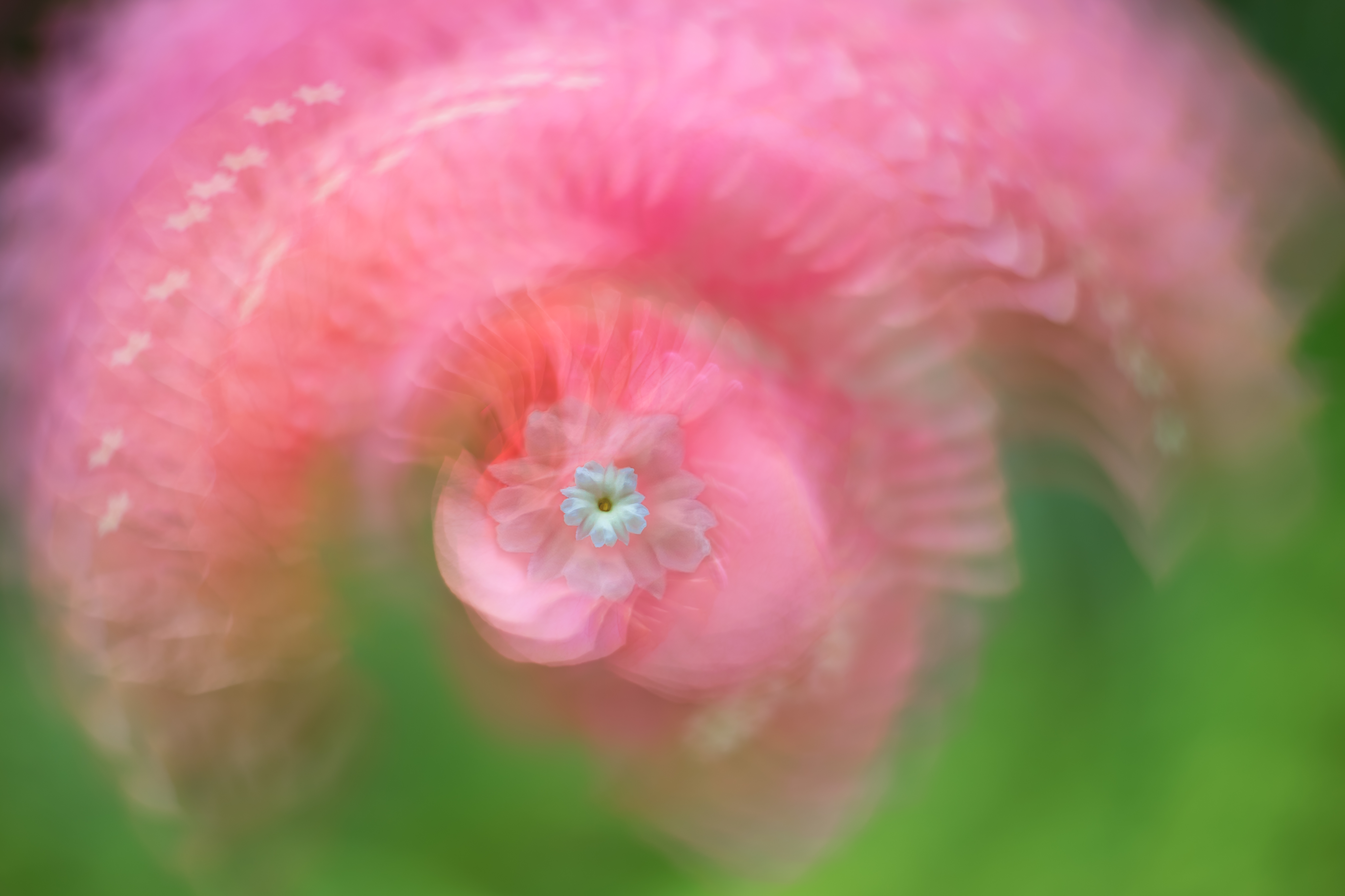 Multiple In-Camera-3072